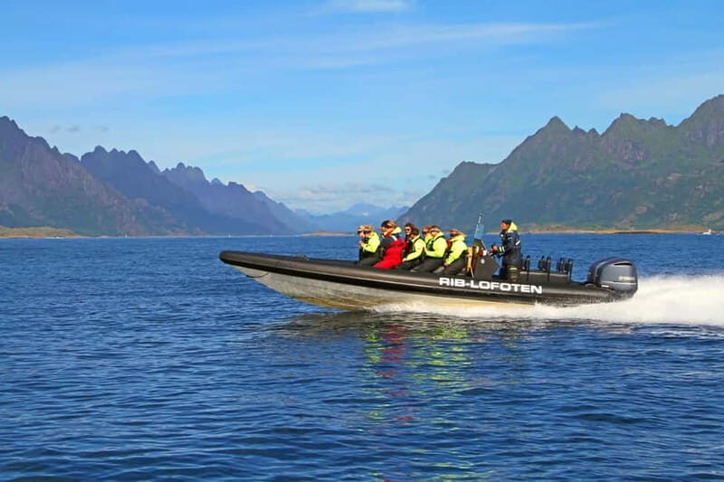 From Svolvær: Lofoten RIB Sea Eagle Safari Trollfjord Cruise - The 2-Hour Trollfjord Run: Speed, Photo Stops, and Real Fjord Views