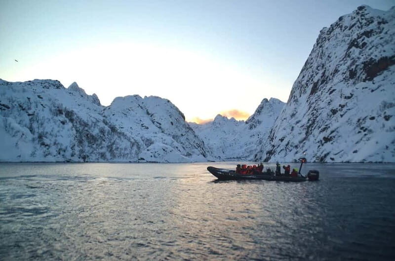 From Svolvær: Lofoten RIB Sea Eagle Safari Trollfjord Cruise - Price and Value: Does $125 Buy Real Worth?