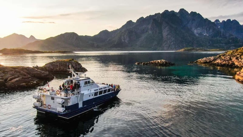 From Svolvær: Lofoten Trollfjord Cruise & Sea Eagle Safari - Key things to know before you go
