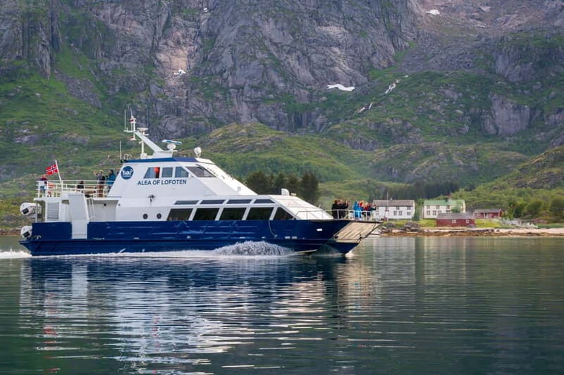 From Svolvær: Lofoten Trollfjord Cruise & Sea Eagle Safari - Who should book this sea eagle and Trollfjord cruise