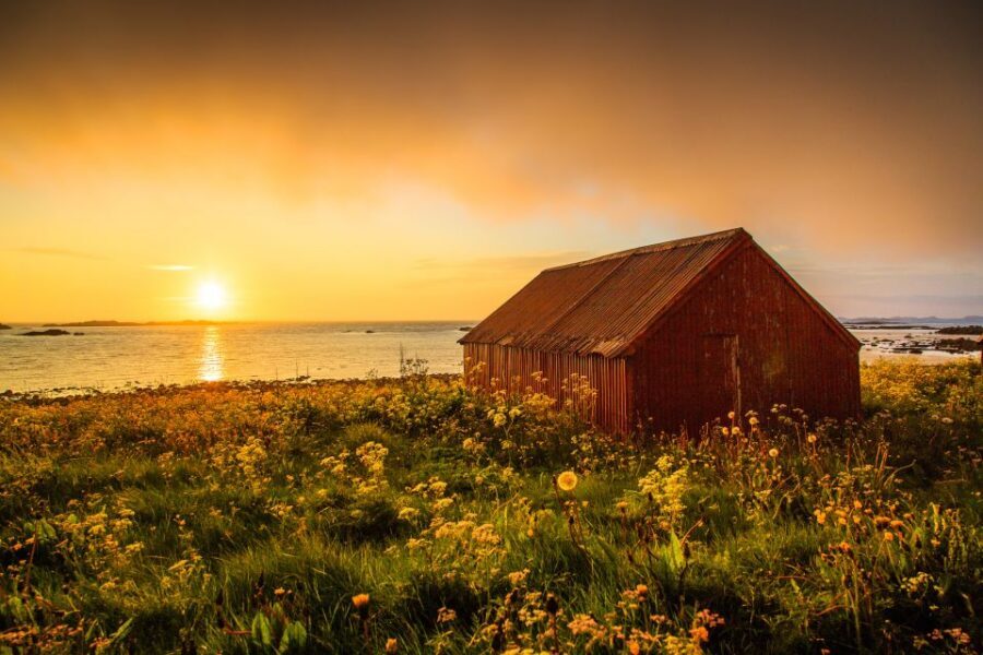 From Svolvær: Midnight sun tour with a photographer - Midnight Sun, But With a Photographer’s Eye