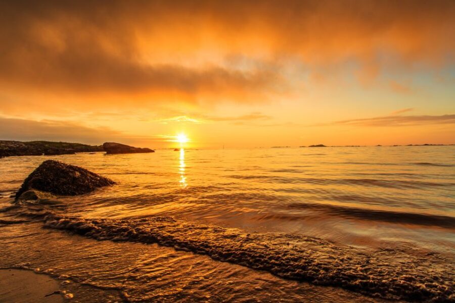 From Svolvær: Midnight sun tour with a photographer - Price and Value: Is $198 Worth It?