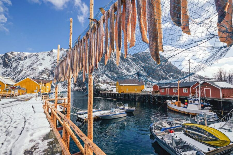 From Svolvær: Reine & Å Lofoten West Island Full Day Tour - Who this tour fits best (and who should think twice)