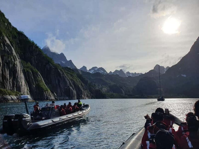 From Svolvær: RIB Boat Lofoten Trollfjord Sea Eagle Safari - Key things to know before you go