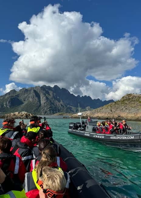 From Svolvær: RIB Boat Lofoten Trollfjord Sea Eagle Safari - Raftsundet Sea Eagles: close feeding and better-than-big-boat viewing