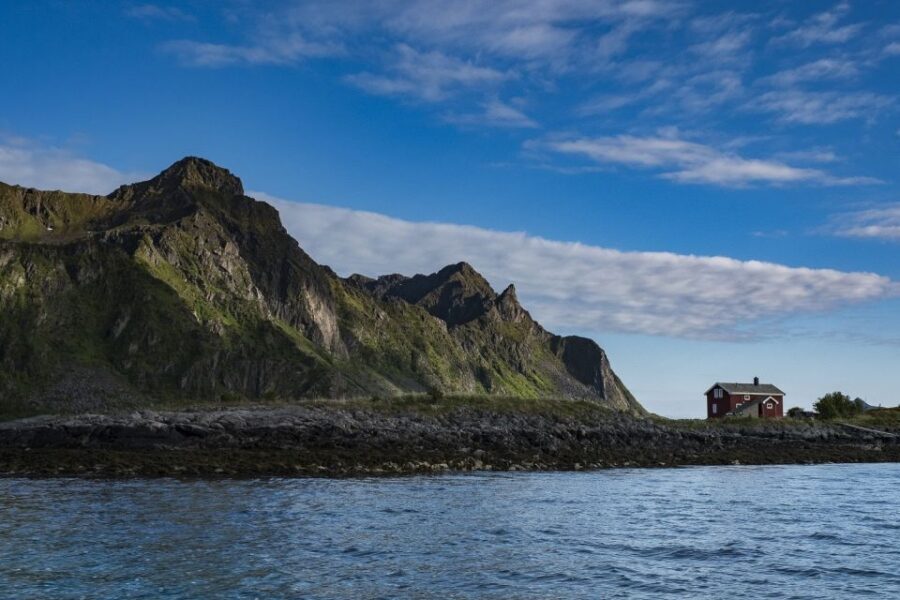 From Svolvaer: Trollfjorden Wildlife RIB Cruise - Key Things to Know Before You Go