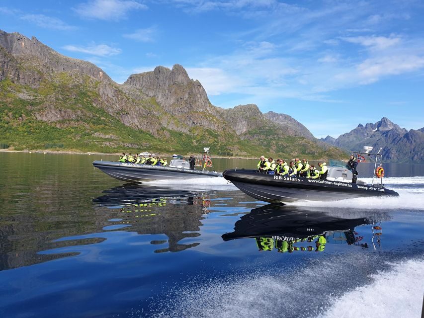 From Svolvaer: Trollfjorden Wildlife RIB Cruise - Øyhellsundet Strait to Trollfjord: The Route That Makes the Views Worth It