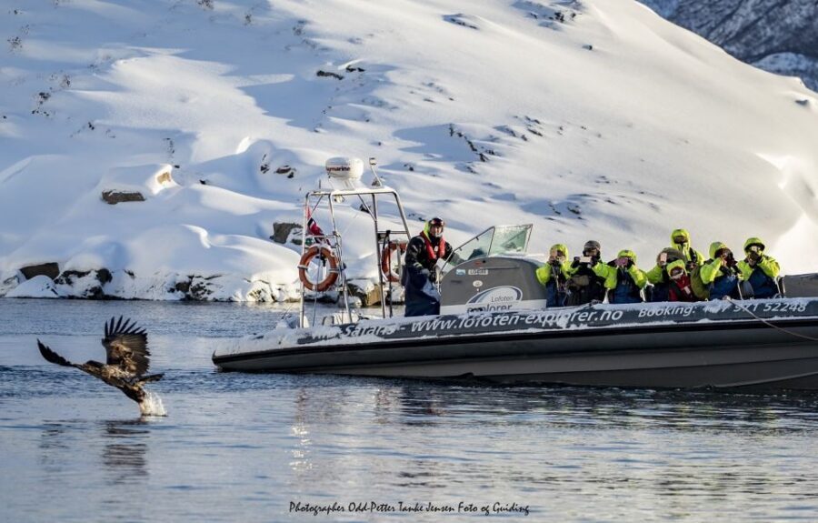 From Svolvaer: Trollfjorden Wildlife RIB Cruise - What Gear You Get (and What to Bring Anyway)