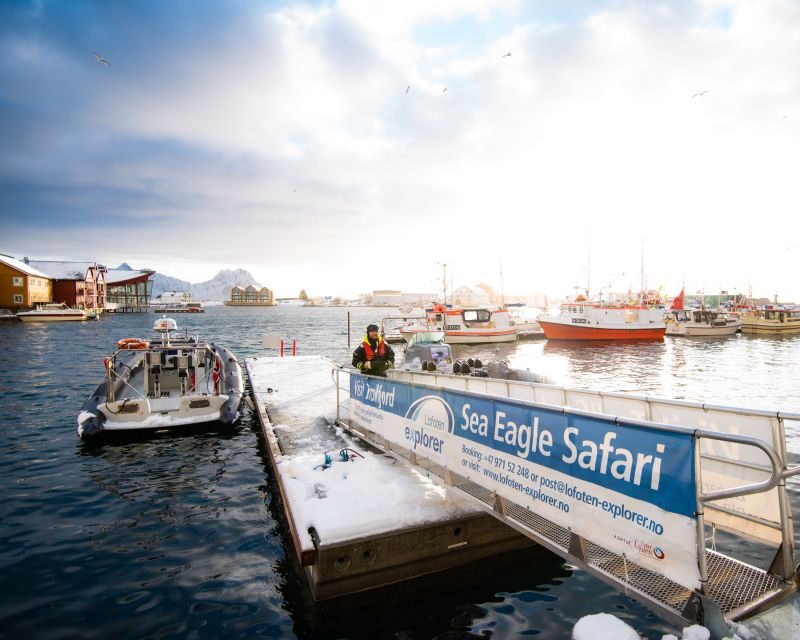 From Svolvaer: Trollfjorden Wildlife RIB Cruise - Weather Reality: Rain or Shine, Wind, and Sea Spray