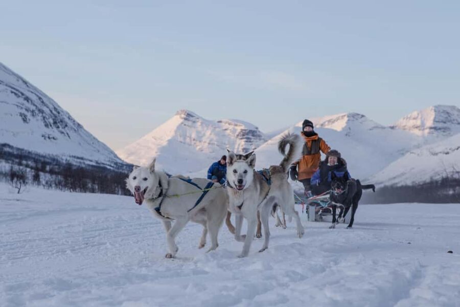 From Tromsø: Advanced Dog Sledding Daytime & Snow Park Visit - Key things to know before you go