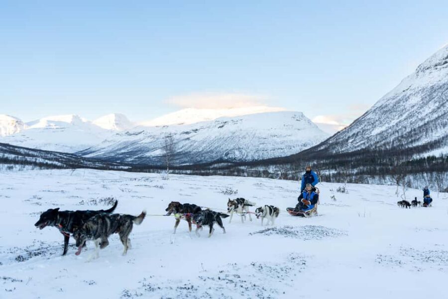 From Tromsø: Advanced Dog Sledding Daytime & Snow Park Visit - Why this Tamok Valley day feels different from the usual Tromsø tours