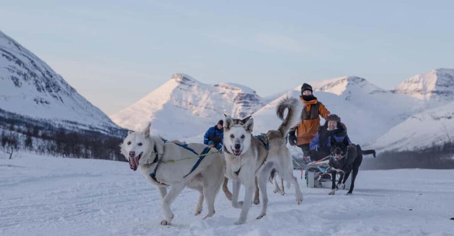 From Tromsø: Advanced Dog Sledding Tour at Camp Tamok - The Tromsø to Camp Tamok day: pacing, comfort, and timing