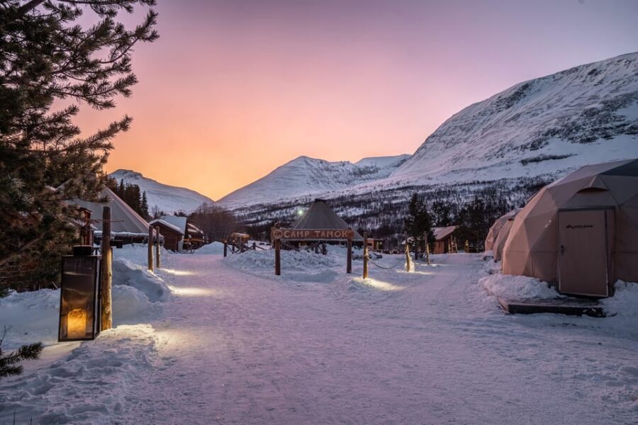 From Tromsø: Advanced Dog Sledding Tour at Camp Tamok - The sledding itself: shared sleds, driving skills, and a halfway switch