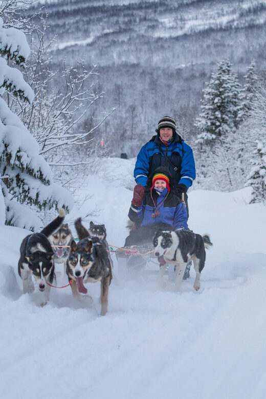 From Tromsø: Advanced Dog Sledding Tour at Camp Tamok - Meet the huskies (and why their energy sets the tone)
