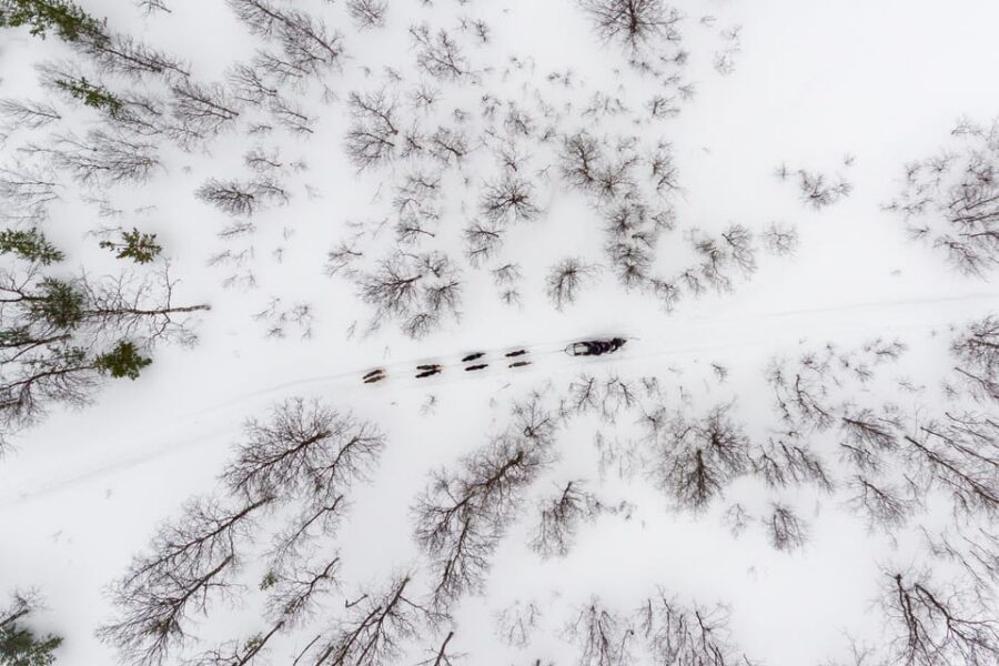 From Tromsø: Advanced Dog Sledding Tour at Camp Tamok - Small-group logistics: why max 12 matters in winter