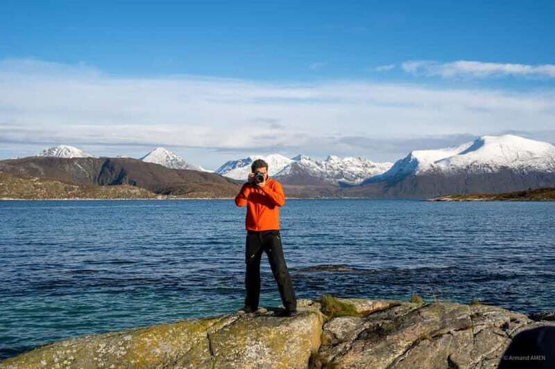 From Tromsø: Arctic Roadtrip: fjords tour with scenic picnic - Wildlife chances: what you might see (and what the guides try to do)