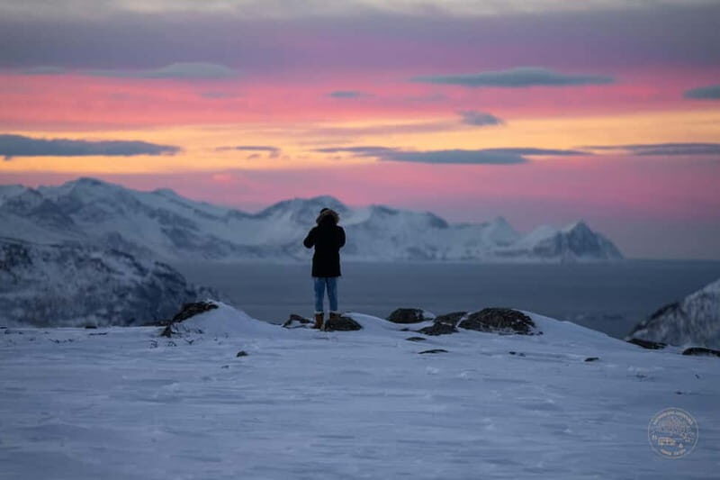 From Tromsø: Arctic Roadtrip: fjords tour with scenic picnic - Photo service: free, professional, and actually useful