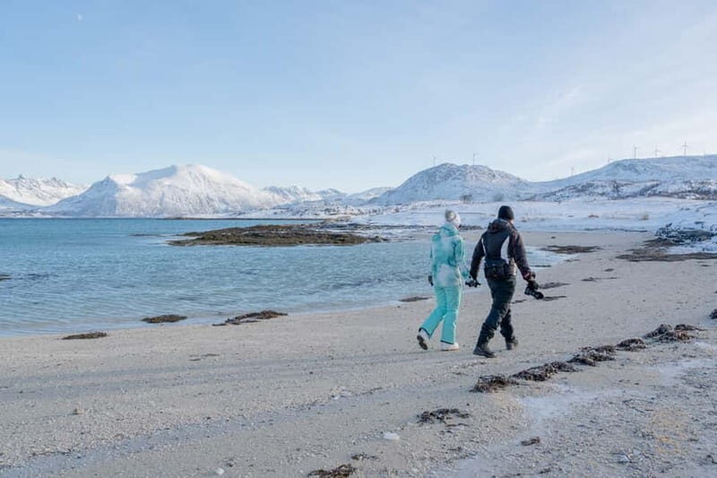 From Tromsø: Arctic Roadtrip: fjords tour with scenic picnic - What $146 really buys in a short 5-hour Arctic day