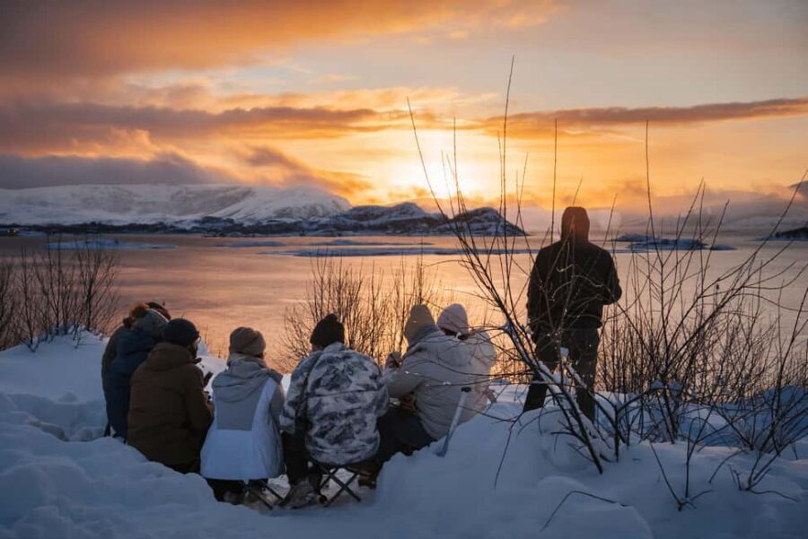 From Tromsø: Arctic Roadtrip Small Group 4x4 Van - Key highlights