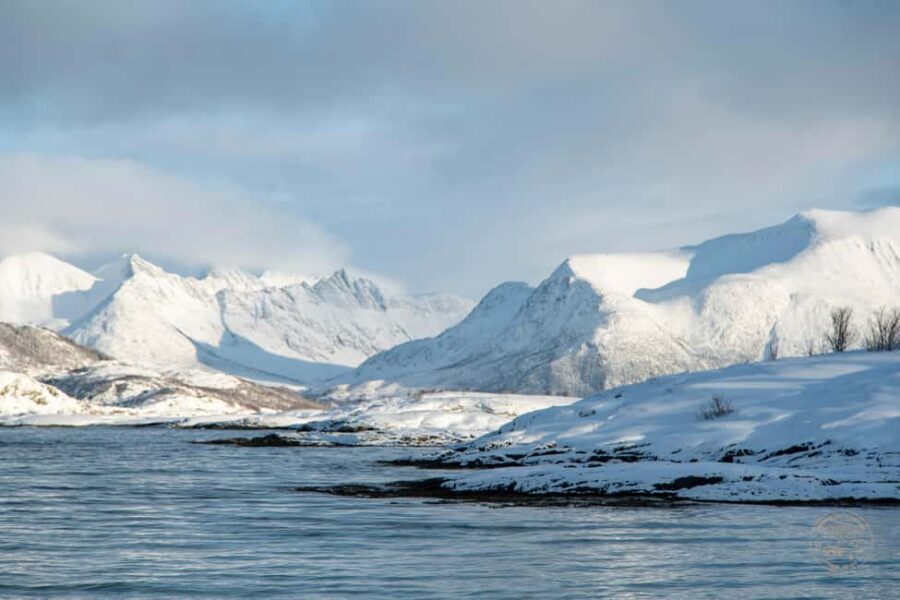 From Tromsø: Arctic Roadtrip Small Group 4x4 Van - Why Kvaløya is the real payoff for an Arctic day