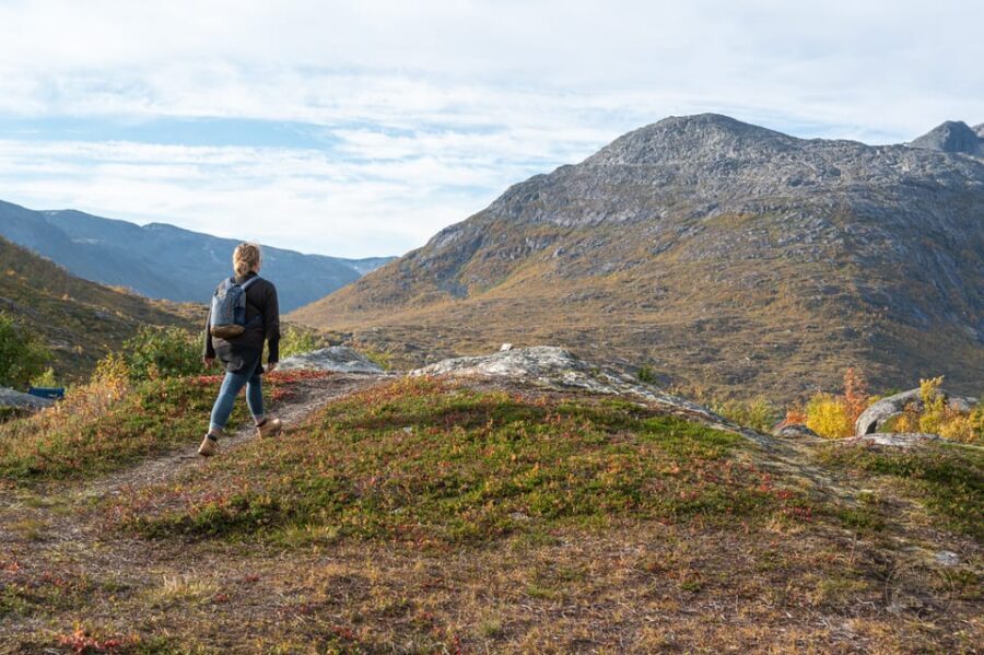 From Tromsø: Arctic Roadtrip Small Group 4x4 Van - The route: a coast-and-fjord loop with timed photo stops