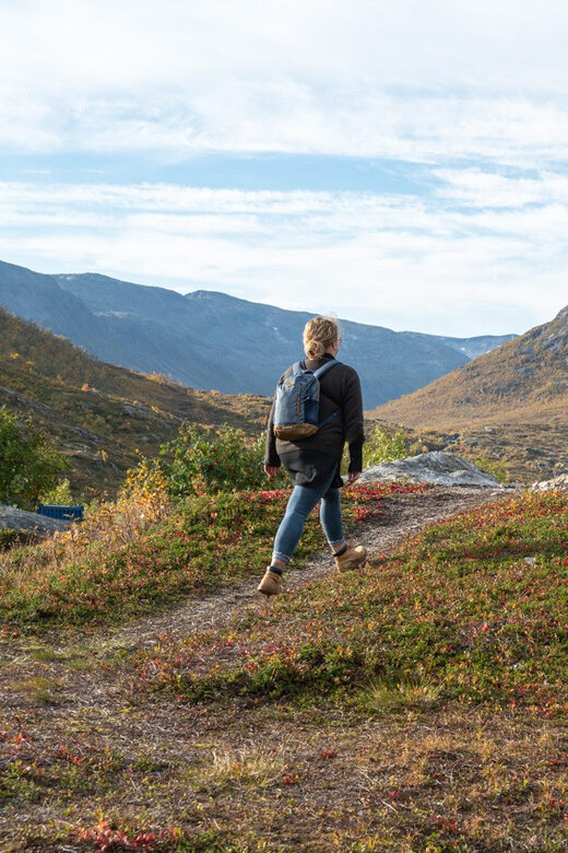 From Tromsø: Arctic Roadtrip Small Group 4x4 Van - The homemade organic light lunch that keeps the day on track