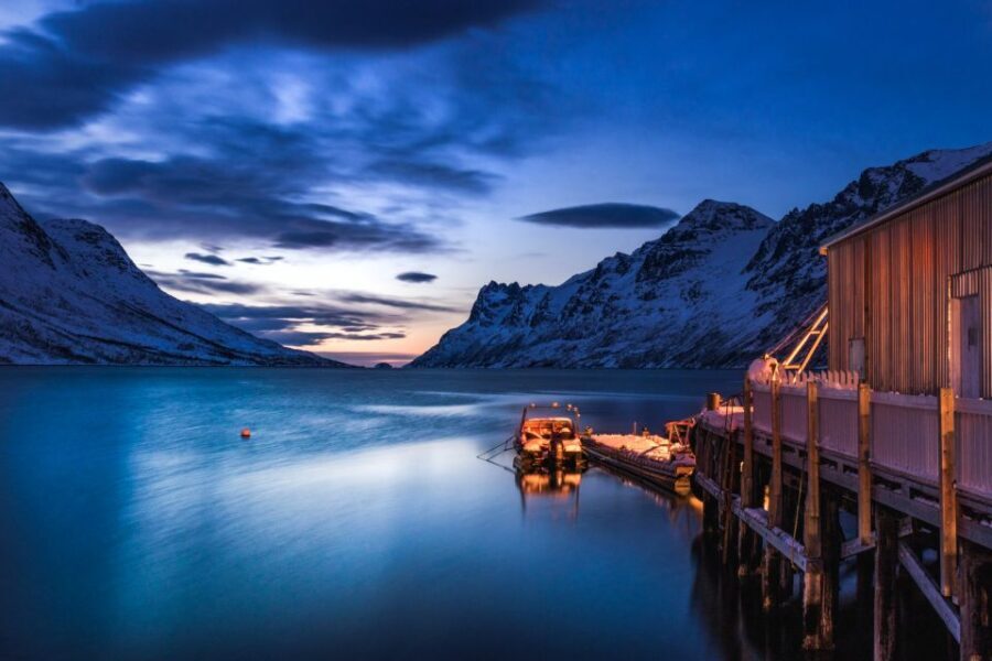 From Tromsø: Arctic Wildlife & Fjord Sightseeing Tour by Car - Fjords and viewpoints at Kaldfjord and Ersfjordbotn