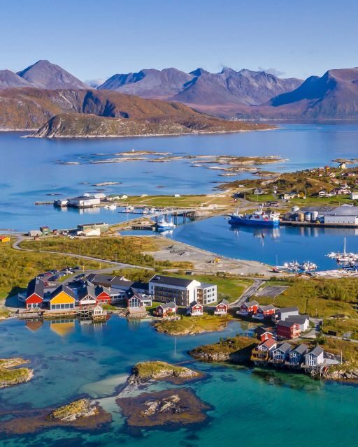From Tromsø: Arctic Wildlife & Fjord Sightseeing Tour by Car - Price and value: how $220 makes sense (especially without a rental car)