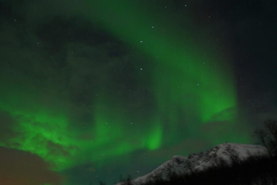 From Tromsø: Aurora Bus Tour with Snacks, Photos, and Drinks - Unlimited professional photos: the memory gets done for you