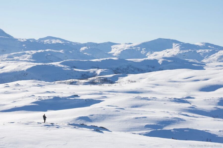 From Tromsø: Daytime Snowshoe Experience with stunning views - Key highlights worth getting excited about