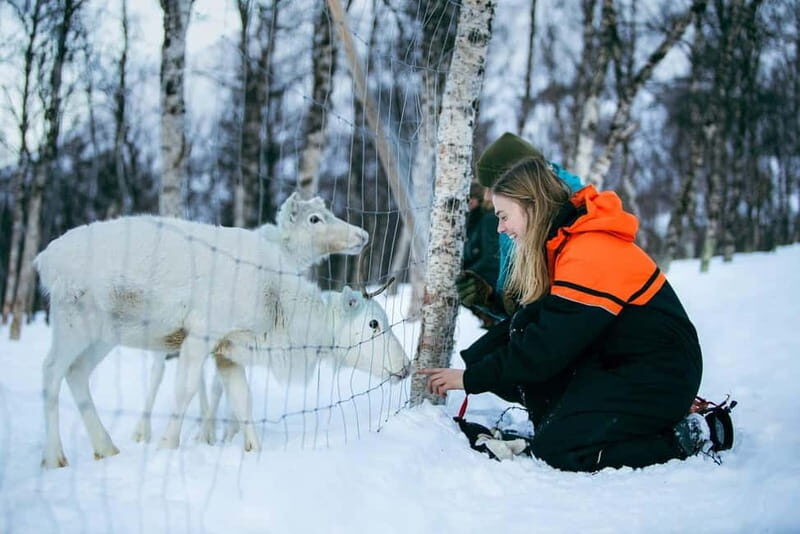 From Tromsø: Daytime Snowshoeing and Snow Park Visit - Huskies and reindeer: iconic Arctic animals with realistic behavior