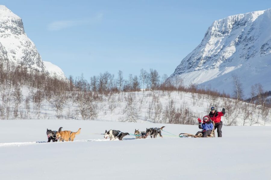 From Tromsø: Dog Sledding Adventure in Tamokdalen - Drive your own sled: what control feels like (and what to watch for)