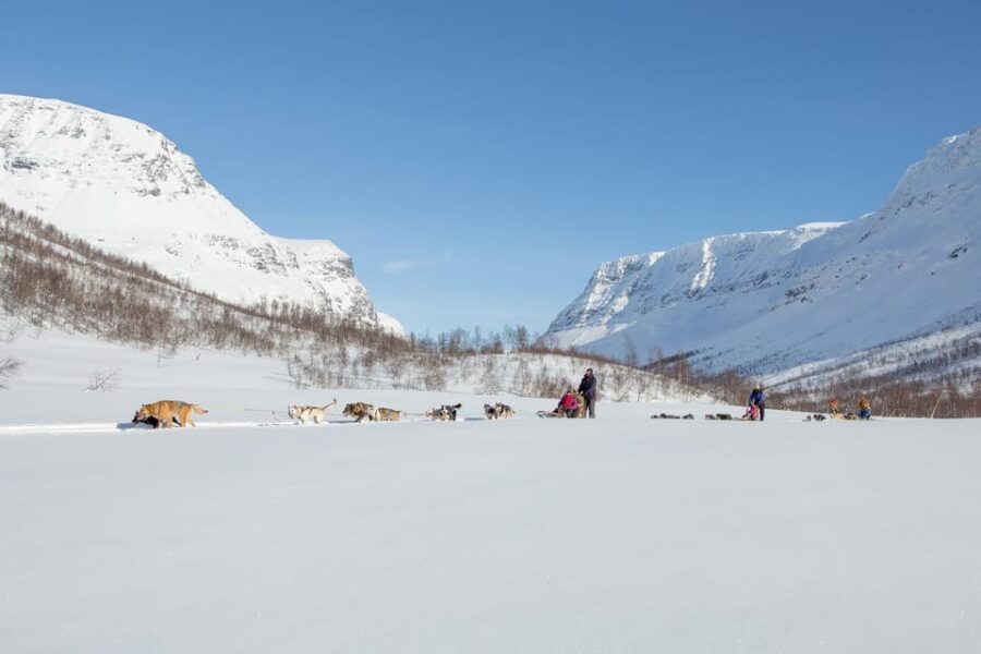 From Tromsø: Dog Sledding Adventure in Tamokdalen - How hard is it, honestly? Medium effort with real-world cold