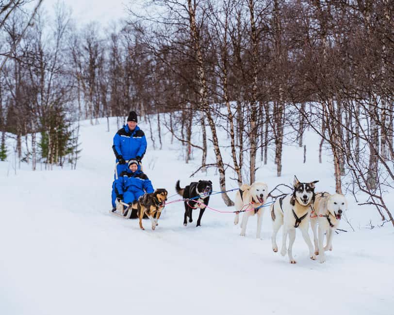 From Tromsø: Dog Sledding Experience with Transfer - The Core Experience: 3–4 km of real mushing, with support