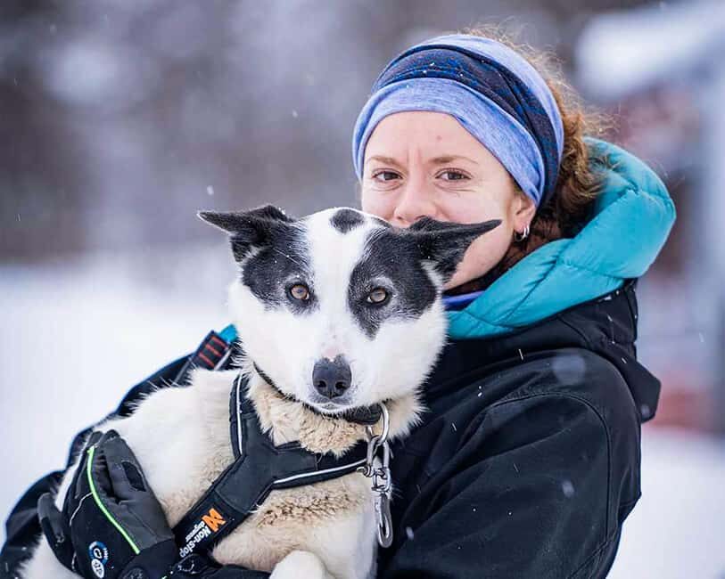 From Tromsø: Dog Sledding Experience with Transfer - The 3–4 km Sled Ride: what driving feels like