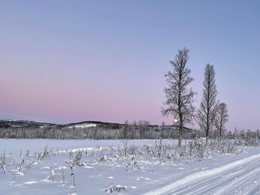 From Tromso: Eco Luxury Snowmobile Adventure to Lyngen Alps - The Snowmobile Time: About 2.5 Hours on Electric Tracks