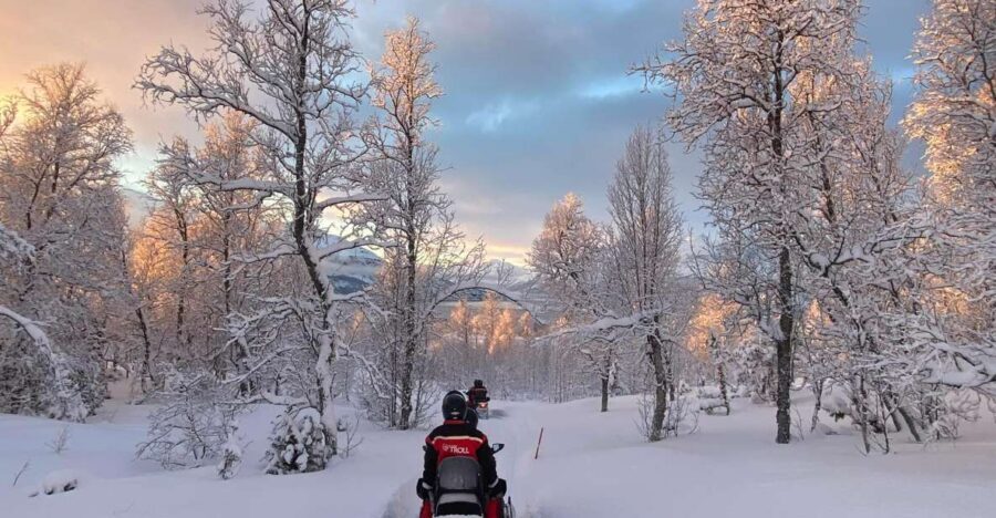 From Tromso: Eco Luxury Snowmobile Adventure to Lyngen Alps - The Guides: Why Names Like Tom and Yani Keep Coming Up