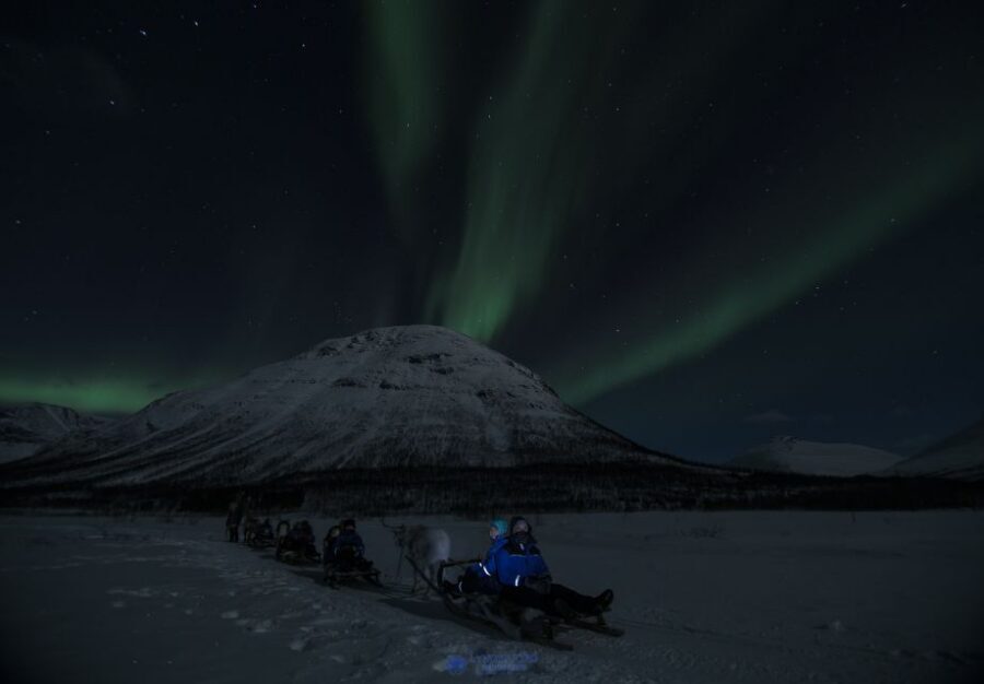 From Tromsø: Evening Reindeer Sledding at Camp Tamok - Key points to know before you go