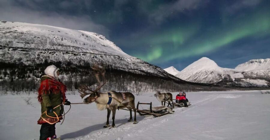 From Tromsø: Evening Reindeer Sledding at Camp Tamok - The real reason this tour works: Sami culture plus reindeer time