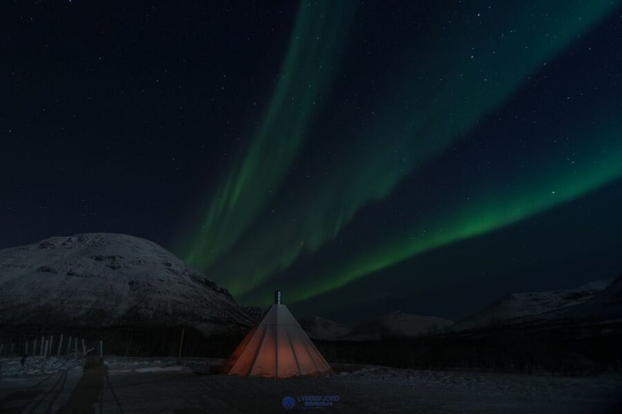 From Tromsø: Evening Reindeer Sledding at Camp Tamok - Northern Lights: how to enjoy the chance without gambling your whole night