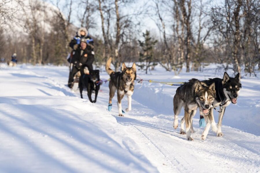 From Tromsø: Fun and Easy Dog Sledding Adventure - Warm gear: what you get and how to stay comfy in real Arctic cold