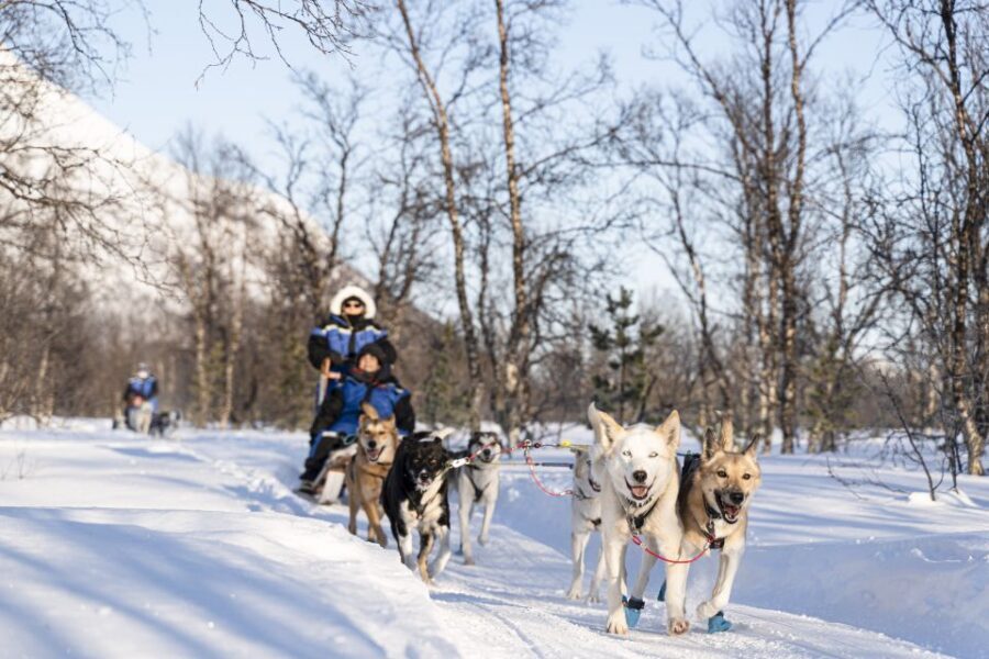 From Tromsø: Fun and Easy Dog Sledding Adventure - The safety briefing and practice run: the easy part is intentional