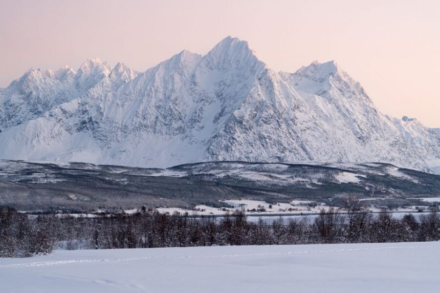 From Tromsø: Fun and Easy Dog Sledding Adventure - Swap halfway: why this tour gives you both the thrill and the photos