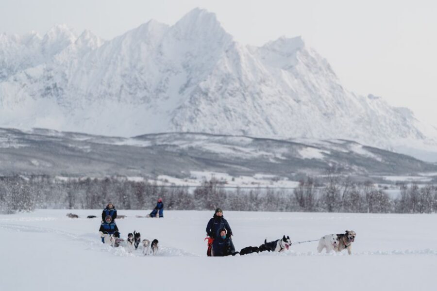 From Tromsø: Fun and Easy Dog Sledding Adventure - The scenery moments that matter: Lyngen Alps views on the trail
