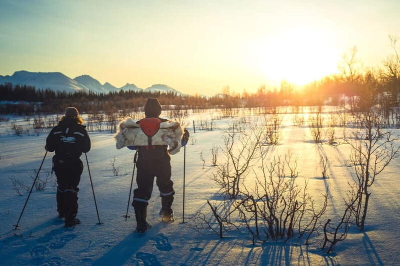 From Tromsø: Guided Husky Snowshoe Hike and Husky Camp Visit - Key things that make this day trip worth your time