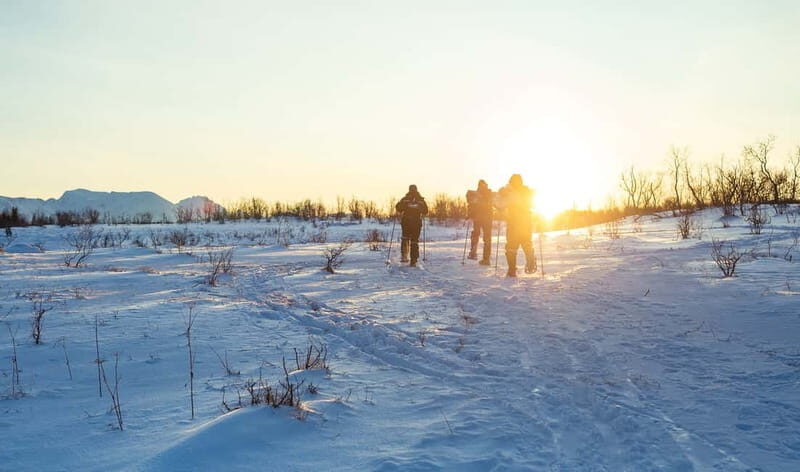 From Tromsø: Guided Husky Snowshoe Hike and Husky Camp Visit - Weather, effort, and safety: the reality of rain or shine