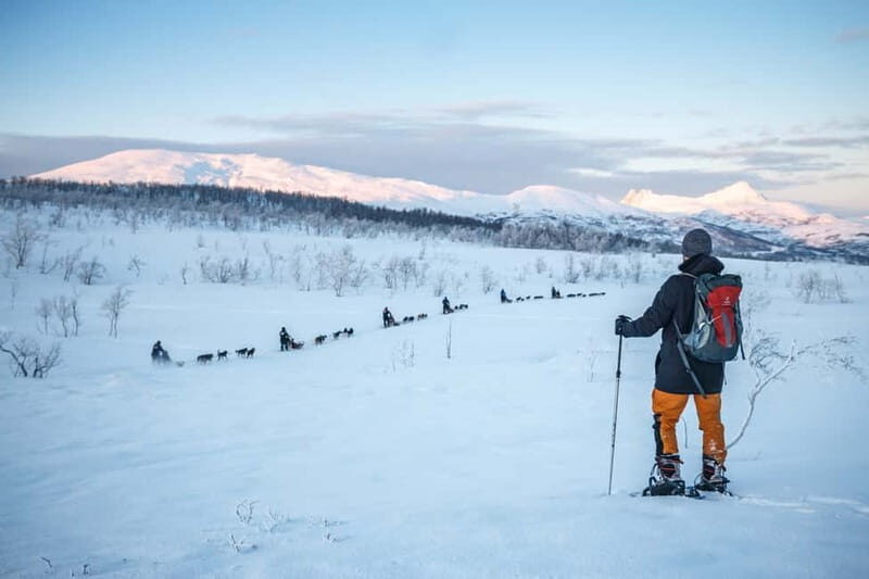 From Tromsø: Guided Husky Snowshoe Hike and Husky Camp Visit - Arctic snowshoeing starts with a bus you can’t miss