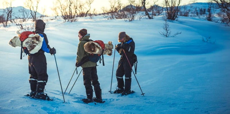 From Tromsø: Guided Husky Snowshoe Hike and Husky Camp Visit - Husky camp visit: meeting 200 dogs and puppies up close