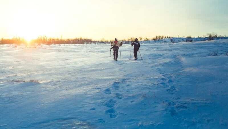 From Tromsø: Guided Husky Snowshoe Hike and Husky Camp Visit - Food and comfort: more than a snack, less than a feast