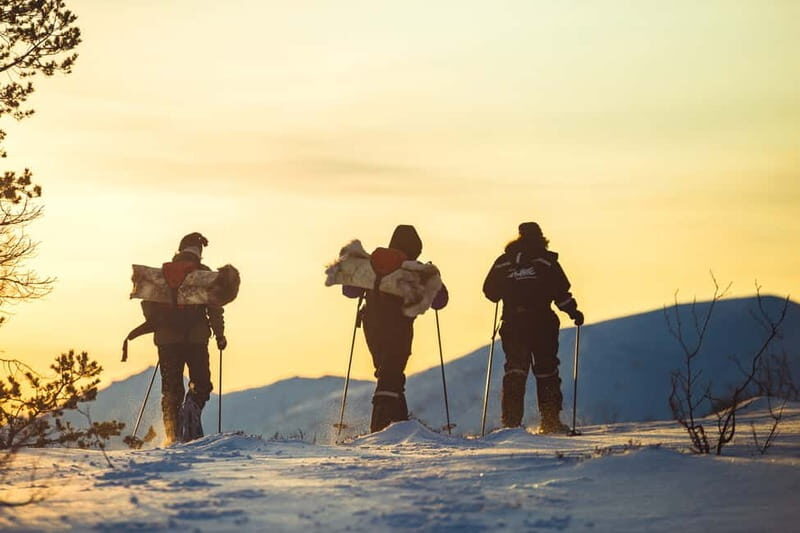 From Tromsø: Guided Husky Snowshoe Hike and Husky Camp Visit - Who should book it, and who should skip it
